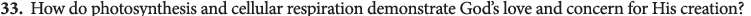 ?mb_ext=file&path=2026%2F07%2F06%2FF207_image.png